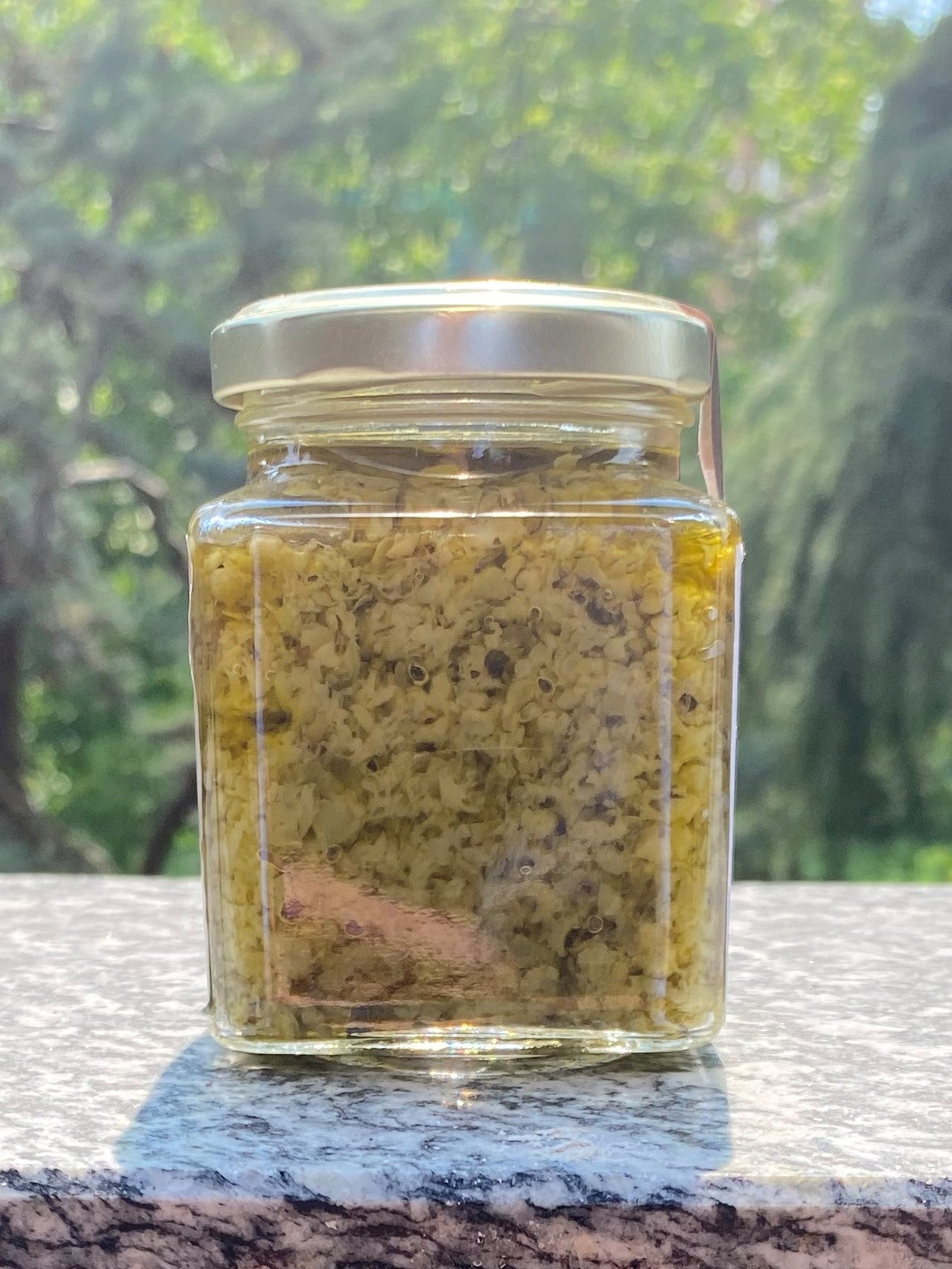 Vellutata di Zucchine