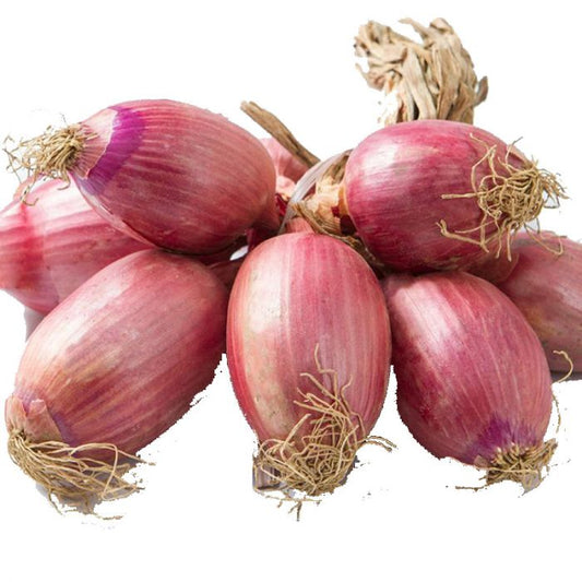 Cipolla A Treccia